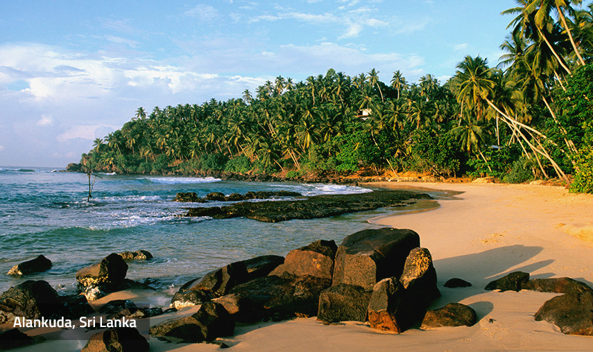 Alankuda Sri Lanka - Pledge Holidays City