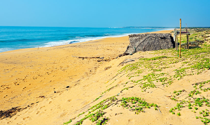 Alankuda Sri Lanka - Pledge Holidays City