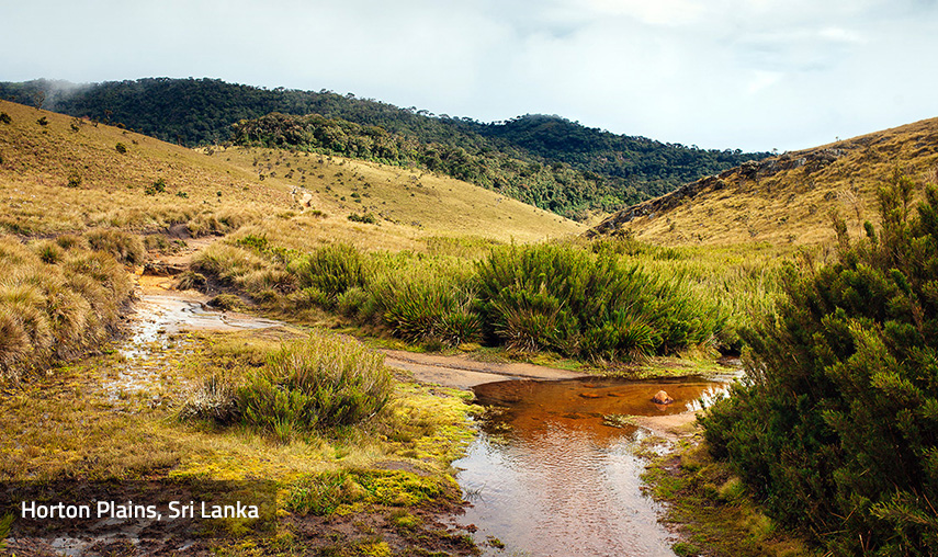 Horton Plains Sri Lanka - Pledge Holidays City