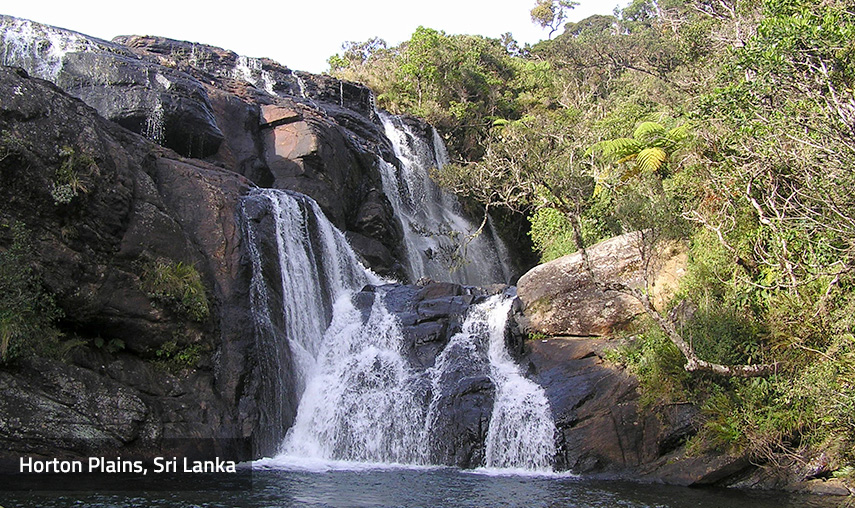 Horton Plains Sri Lanka - Pledge Holidays City
