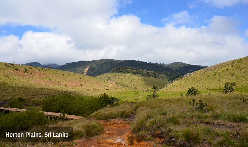 Horton Plains Sri Lanka - Pledge Holidays City