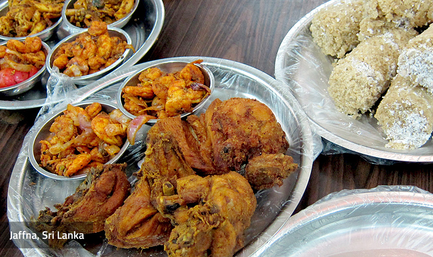Jaffna Sri Lanka - Pledge Holidays City