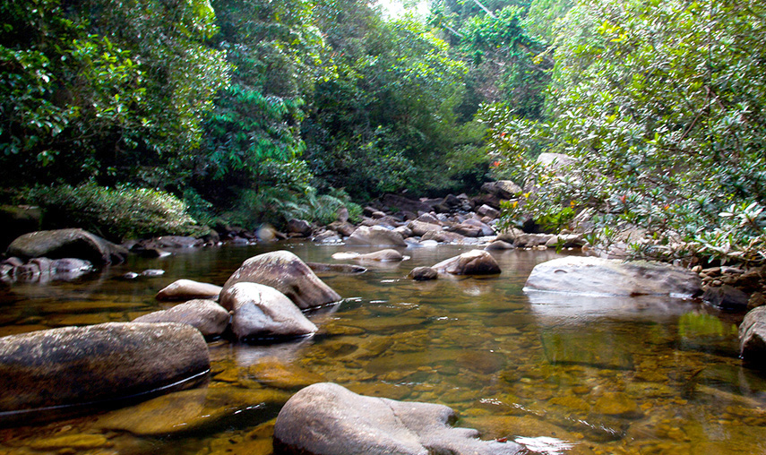 Kitulgala Sri Lanka - Pledge Holidays City