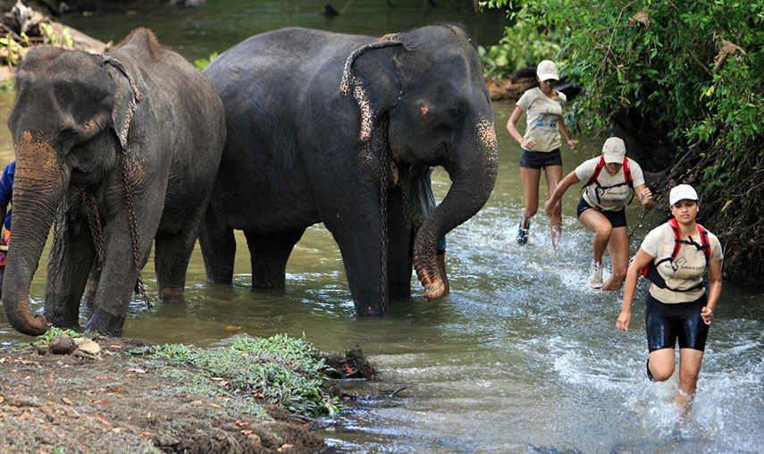 Kitulgala Sri Lanka - Pledge Holidays City