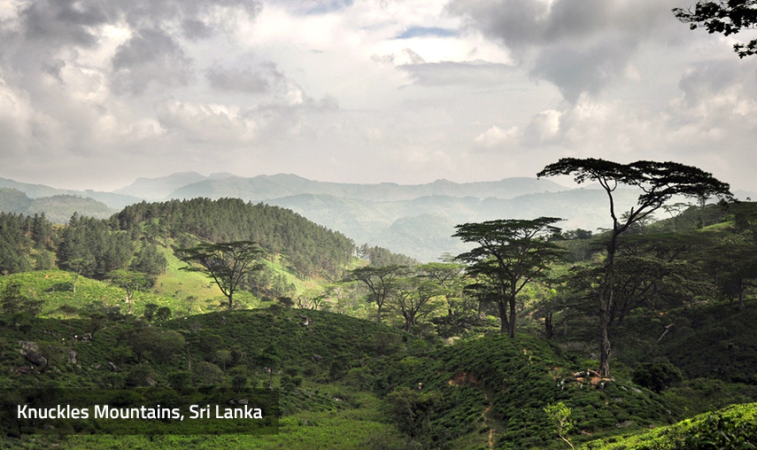 Knuckles Mountain Range Sri Lanka Knuckles Mountain Range Sri Lanka - Pledge Holidays Pledge Holidays City