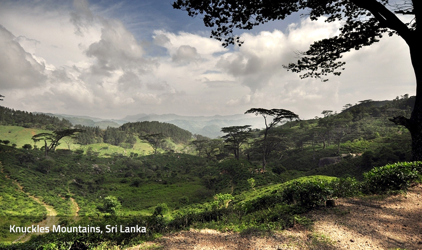 Knuckles Mountain Range Sri Lanka Knuckles Mountain Range Sri Lanka - Pledge Holidays Pledge Holidays City