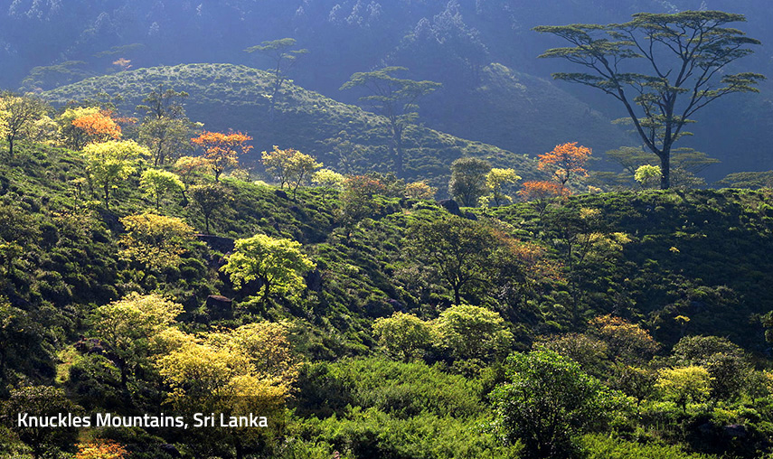 Knuckles Mountain Range Sri Lanka Knuckles Mountain Range Sri Lanka - Pledge Holidays Pledge Holidays City