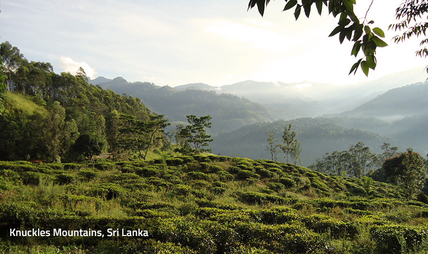 Knuckles Mountain Range Sri Lanka Knuckles Mountain Range Sri Lanka - Pledge Holidays Pledge Holidays City
