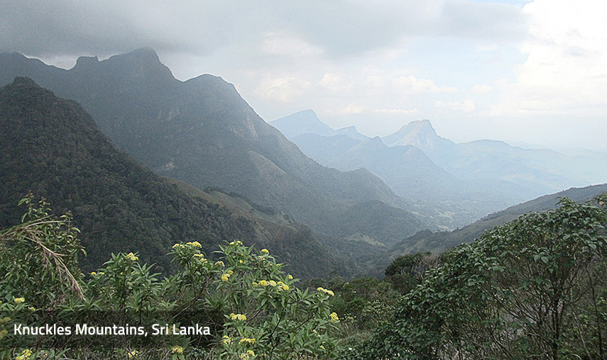 Knuckles Mountain Range Sri Lanka Knuckles Mountain Range Sri Lanka - Pledge Holidays Pledge Holidays City
