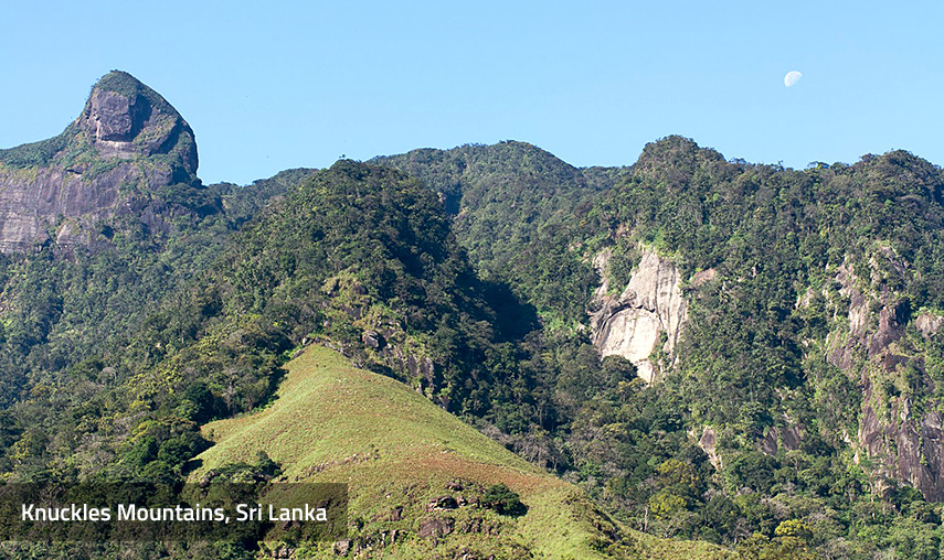 Knuckles Mountain Range Sri Lanka Knuckles Mountain Range Sri Lanka - Pledge Holidays Pledge Holidays City