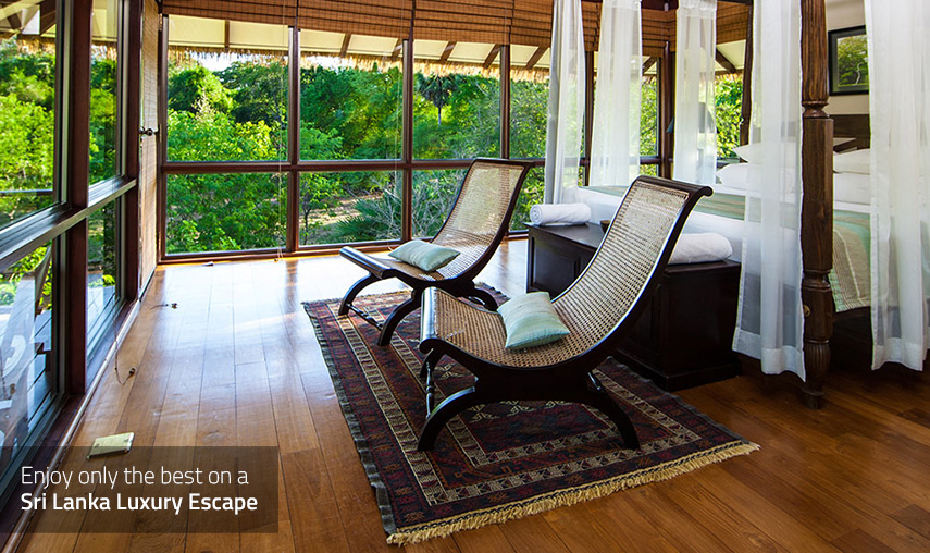 Sri Lanka Luxury Escape - Pledge Holidays