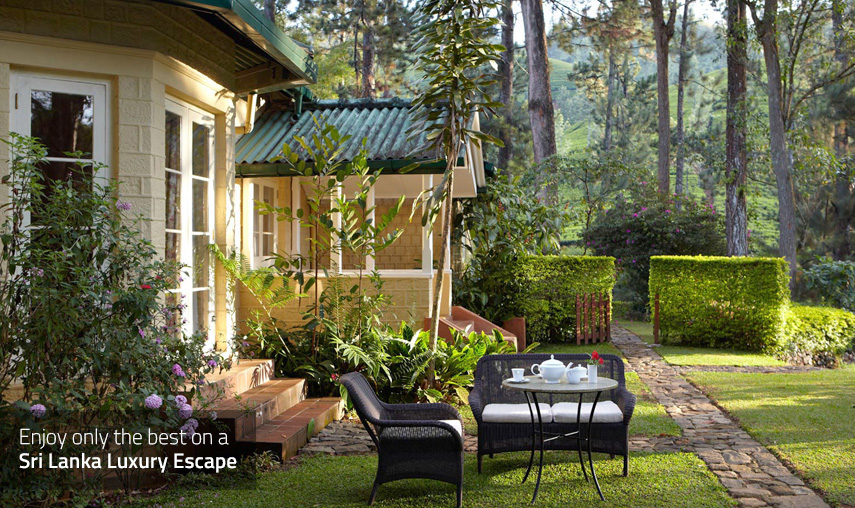 Sri Lanka Luxury Escape - Pledge Holidays