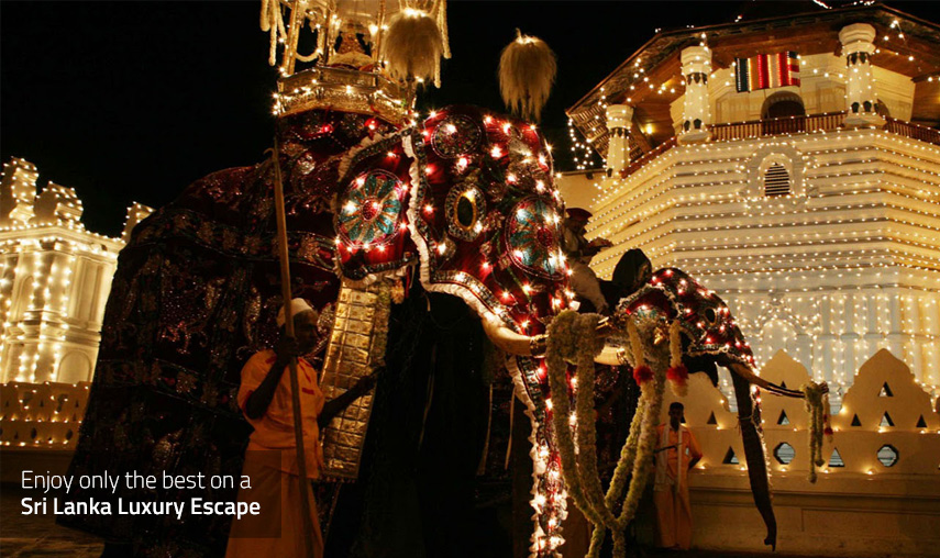 Sri Lanka Luxury Escape - Kandy Temple Tour - Pledge Holidays