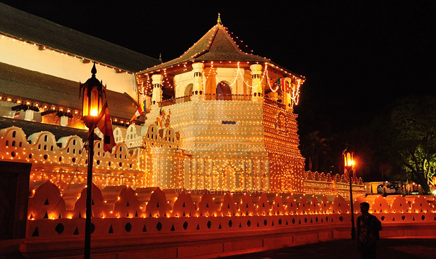 Sri Lanka Luxury Island Tour Package - Pledge Holidays