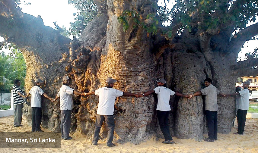 Mannar Sri Lanka - Pledge Holidays City