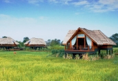 Sri Lanka Luxury Escape