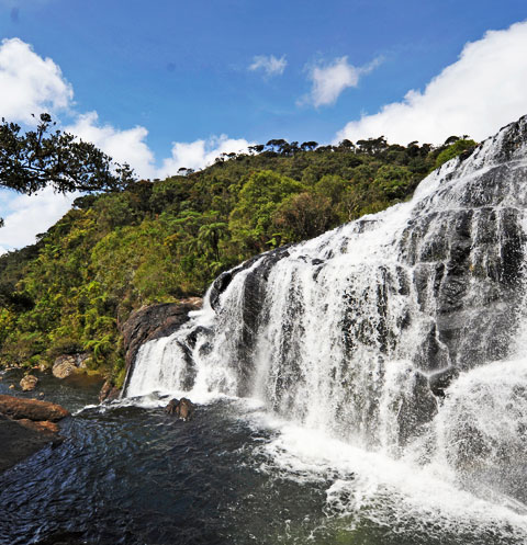 Nuwara Eliya